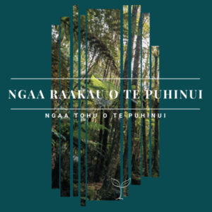 Ngaa Raakau o te Puhinui Design
